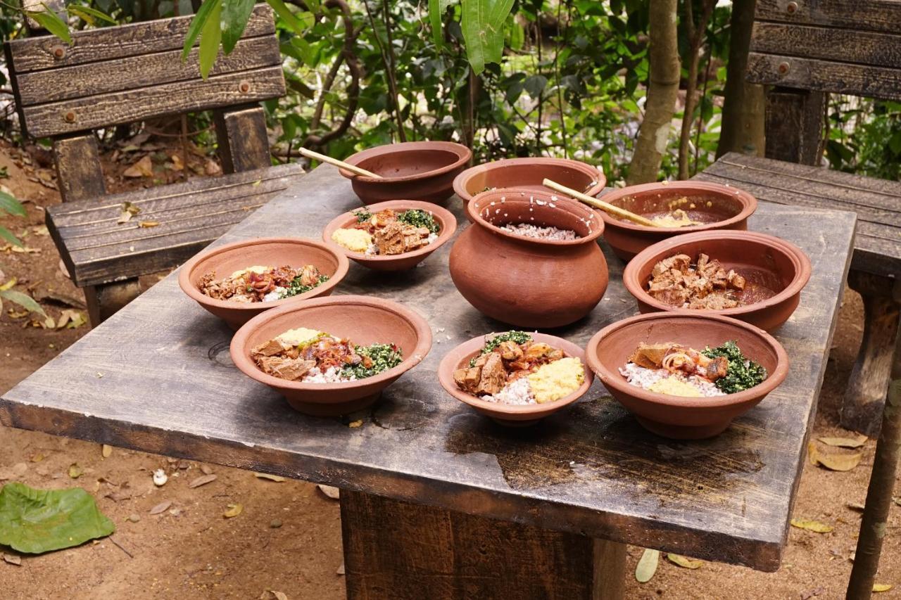 Retiyagama Eco Resort Teldeniya エクステリア 写真