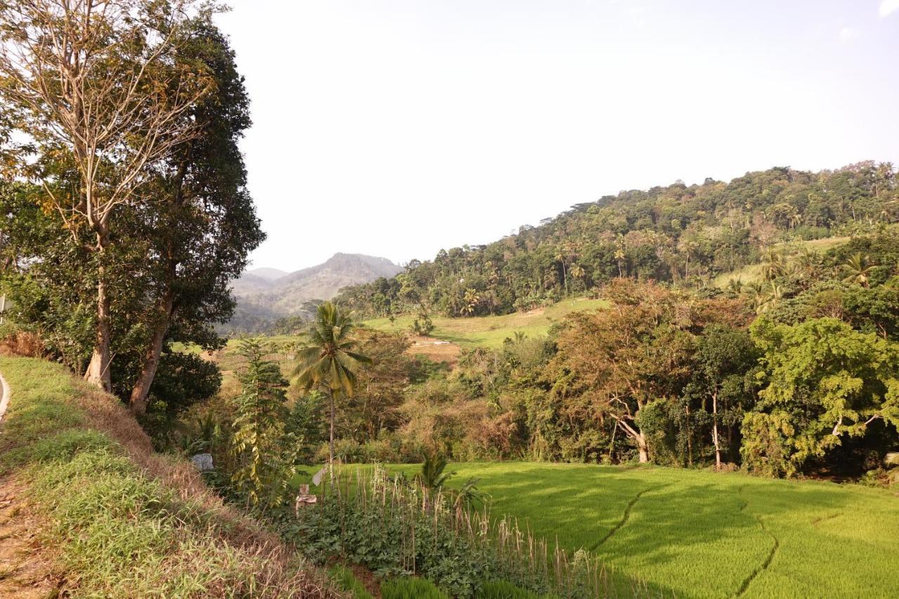 Retiyagama Eco Resort Teldeniya エクステリア 写真