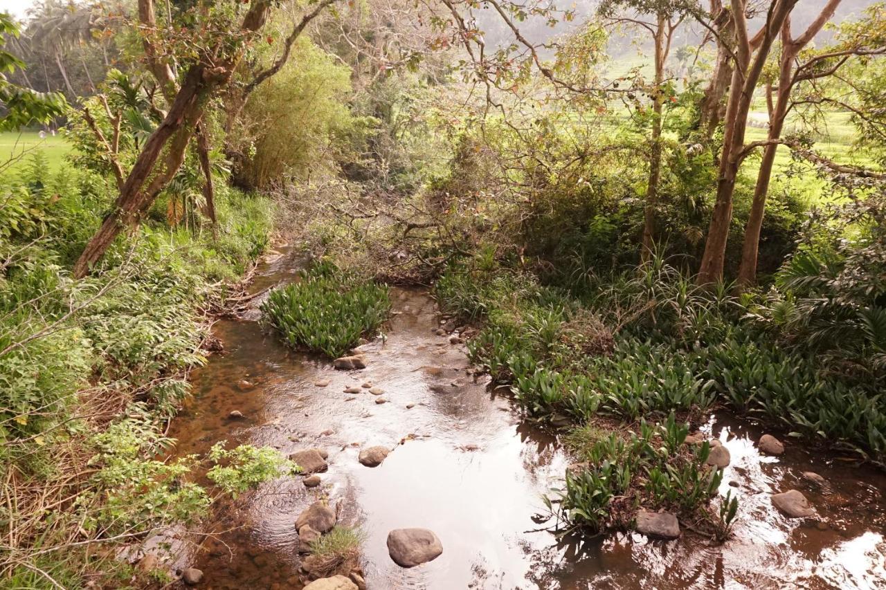 Retiyagama Eco Resort Teldeniya エクステリア 写真